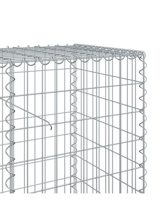 Kaanega gabioonkorv, 300x50x100 cm, tsingitud raud