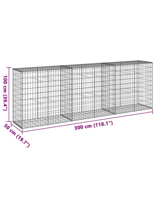 Kaanega gabioonkorv, 300x50x100 cm, tsingitud raud