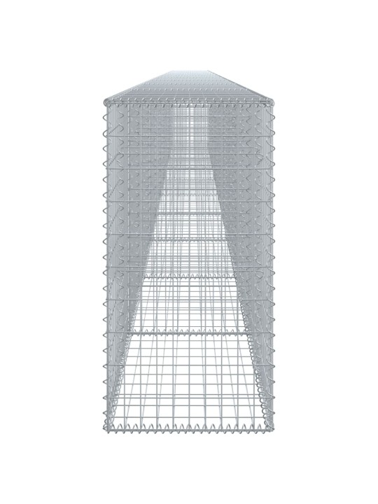 Kaanega gabioonkorv, 1000x50x100 cm, tsingitud raud