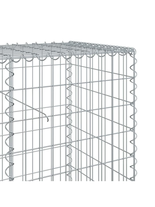 Kaanega gabioonkorv, 1200 x 50 x 100 cm, tsingitud raud