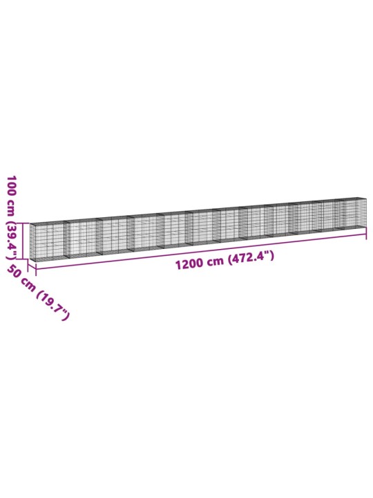 Kaanega gabioonkorv, 1200 x 50 x 100 cm, tsingitud raud