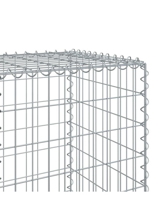 Kaanega gabioonkorv, 100x50x150 cm, tsingitud raud