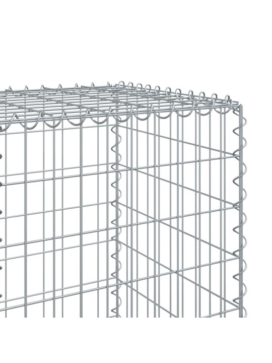 Kattega gabioonkorv, 200 x 50 x 150 cm, tsingitud raud