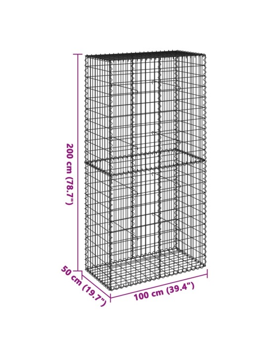 Kaanega gabioonkorv, 100 x 50 x 200 cm, tsingitud raud