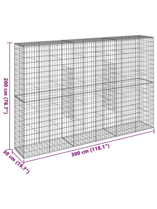 Kaanega gabioonkorv, 300 x 50 x 200 cm, tsingitud raud