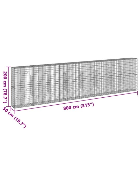 Kaanega gabioonkorv, 800x50x200 cm, tsingitud raud
