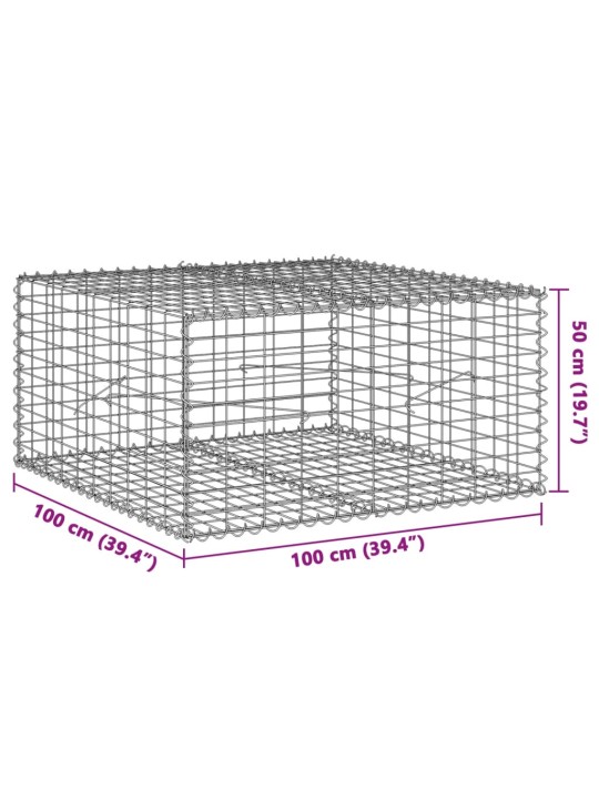 Kaanega gabioonkorv, 100 x 100 x 50 cm, tsingitud raud