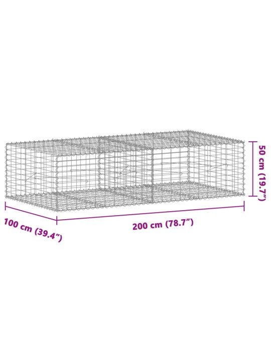 Kaanega gabioonkorv, 200 x 100 x 50 cm, tsingitud raud