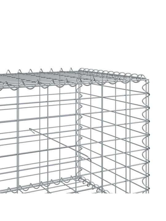 Kaanega gabioonkorv, 300x100x50 cm, tsingitud raud