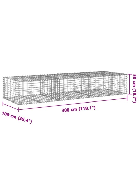 Kaanega gabioonkorv, 300x100x50 cm, tsingitud raud