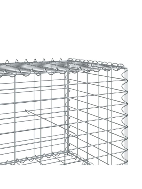 Kaanega gabioonkorv, 900 x 100 x 50 cm, tsingitud raud