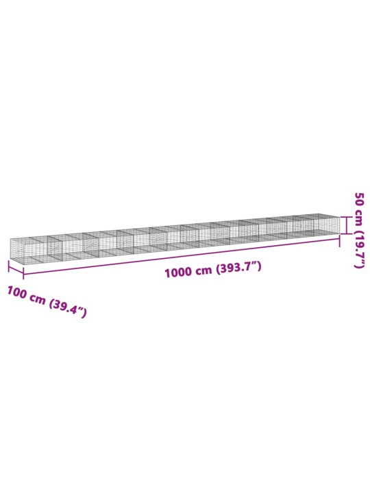 Kaanega gabioonkorv, 1000x100x50 cm, tsingitud raud