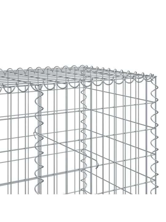 Kaanega gabioonkorv, 150 x 100 x 100 cm, tsingitud raud