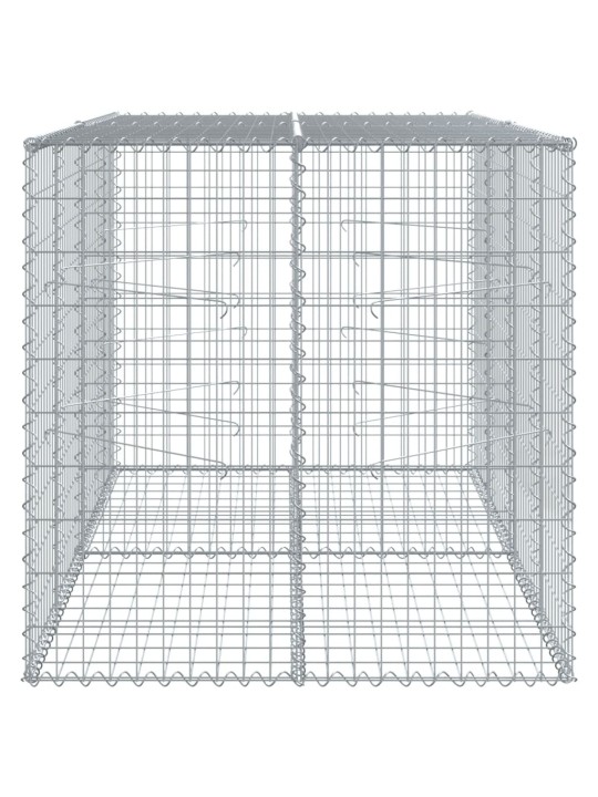 Kaanega gabioonkorv, 200x100x100 cm, tsingitud raud