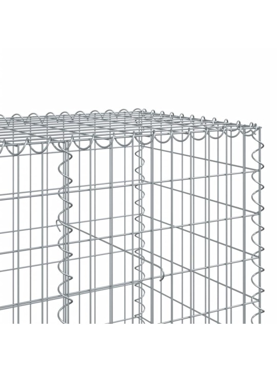 Kaanega gabioonkorv, 200x100x100 cm, tsingitud raud