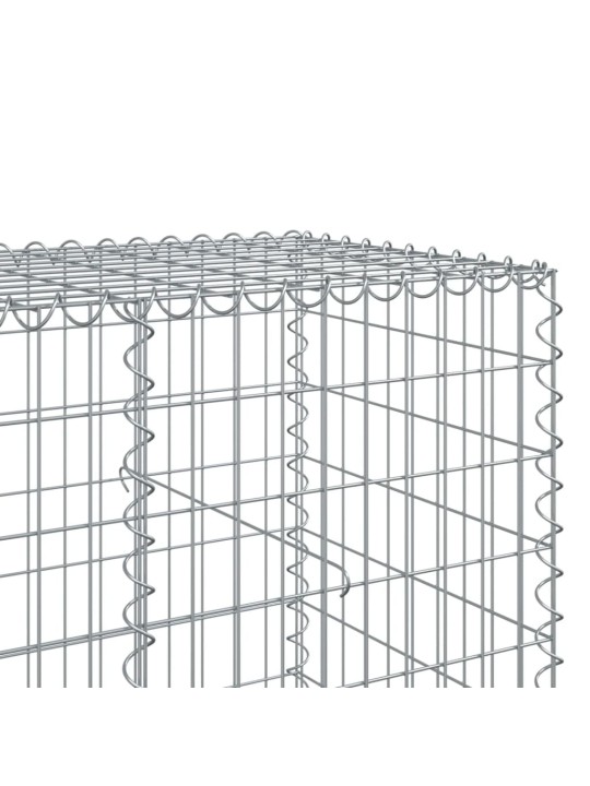 Kaanega gabioonkorv, 250 x 100 x 100 cm, tsingitud raud