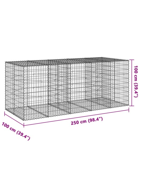 Kaanega gabioonkorv, 250 x 100 x 100 cm, tsingitud raud