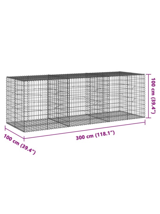 Kaanega gabioonkorv, 300 x 100 x 100 cm, tsingitud raud