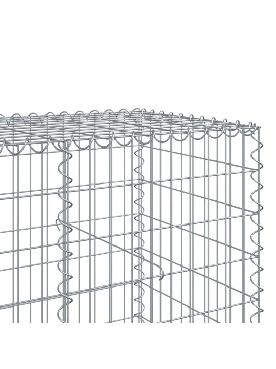 Kaanega gabioonkorv, 400x100x100 cm, tsingitud raud