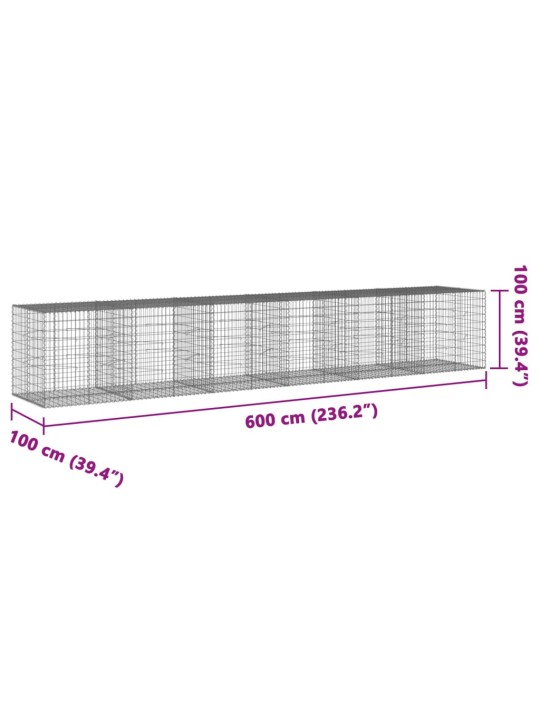 Kaanega gabioonkorv, 600x100x100 cm, tsingitud raud