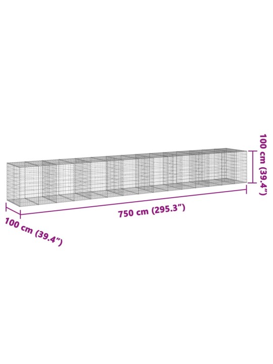 Kaanega gabioonkorv, 750 x 100 x 100 cm, tsingitud raud