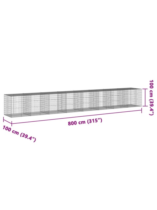Kaanega gabioonkorv, 800x100x100 cm, tsingitud raud