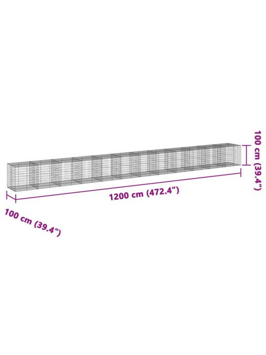Kaanega gabioonkorv, 1200x100x100 cm, tsingitud raud