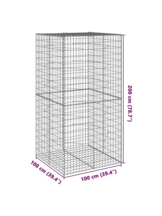 Kaanega gabioonkorv, 100 x 100 x 200 cm, tsingitud raud