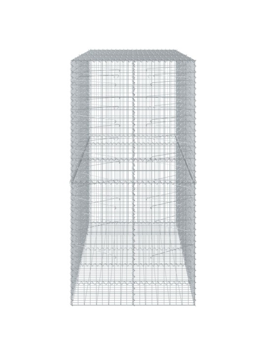 Kaanega gabioonkorv, 250x100x200 cm, tsingitud raud