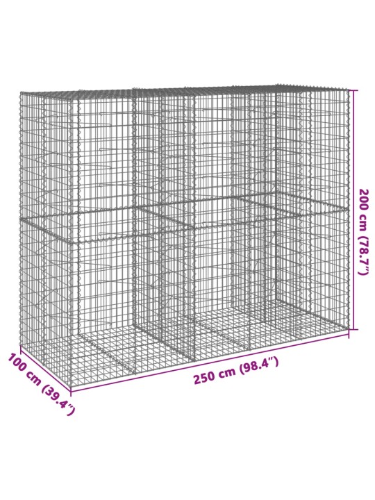 Kaanega gabioonkorv, 250x100x200 cm, tsingitud raud