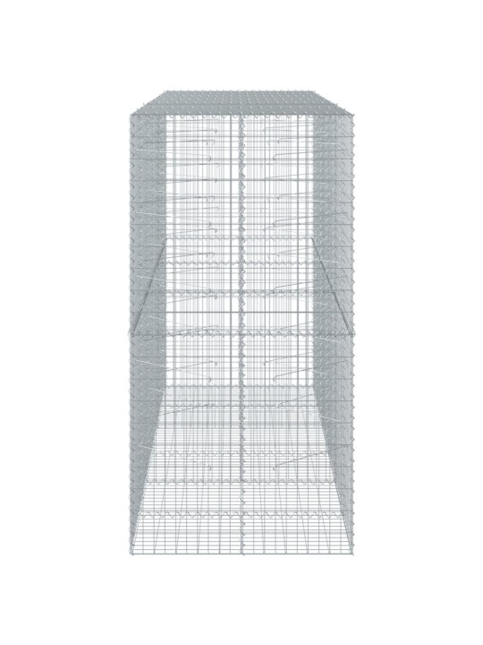 Kaanega gabioonkorv, 300x100x200 cm, tsingitud raud