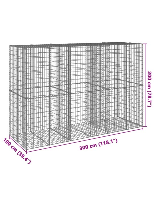 Kaanega gabioonkorv, 300x100x200 cm, tsingitud raud