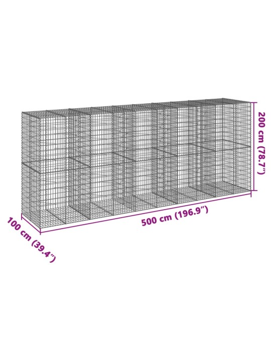 Kaanega gabioonkorv, 500 x 100 x 200 cm, tsingitud raud