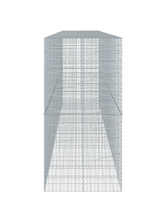 Kaanega gabioonkorv, 650x100x200 cm, tsingitud raud