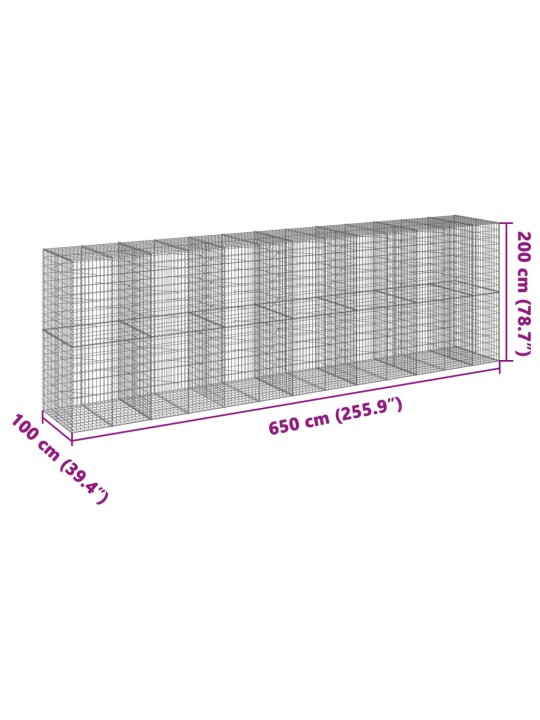 Kaanega gabioonkorv, 650x100x200 cm, tsingitud raud