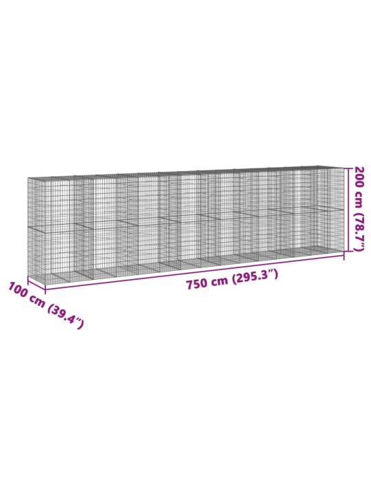 Kaanega gabioonkorv, 750 x 100 x 200 cm, tsingitud raud