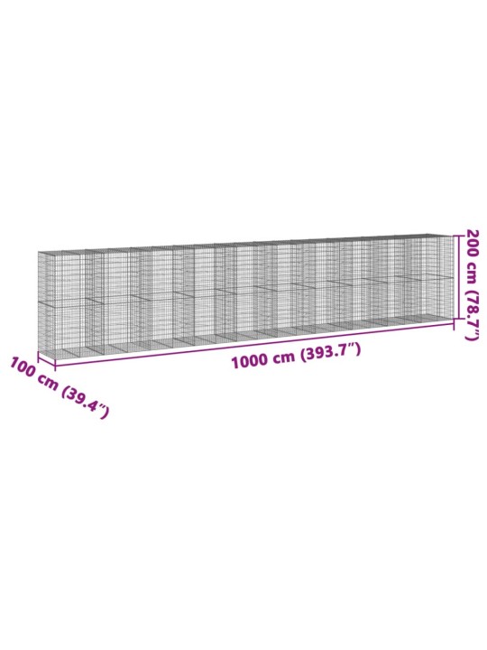 Kaanega gabioonkorv, 1000 x 100 x 200 cm, tsingitud raud