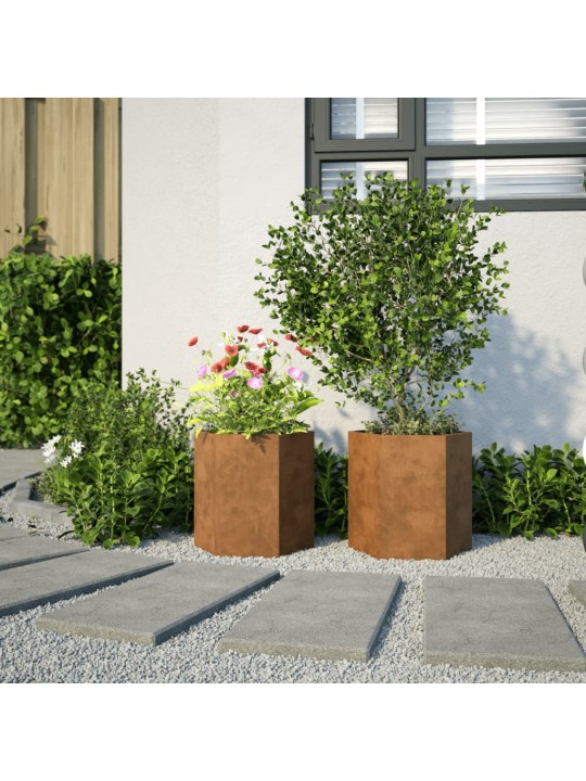 Aia taimekastid 2 tk, kuusnurkne, 46x40x45 cm, corten teras