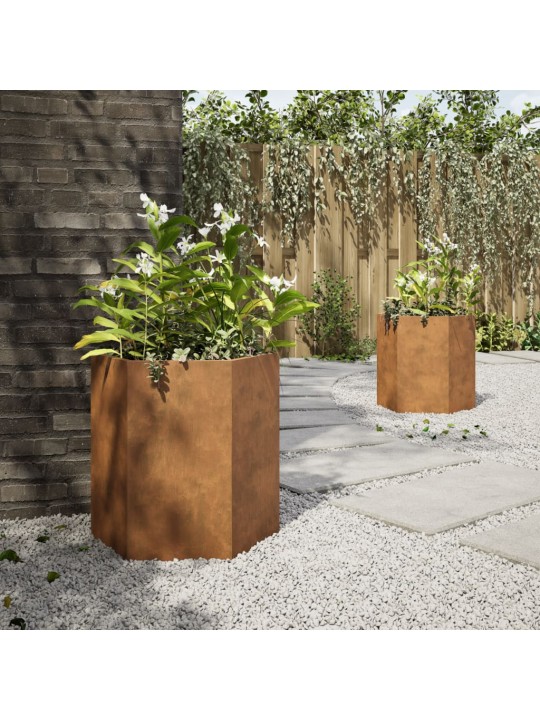 Aia taimekastid 2 tk, kuusnurkne, 46x40x45 cm, corten teras