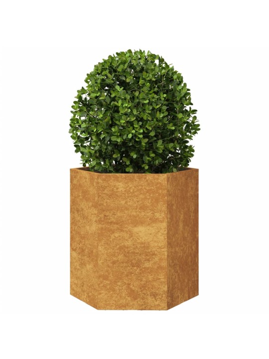 Aia taimekastid 2 tk, kuusnurkne, 46x40x45 cm, corten teras