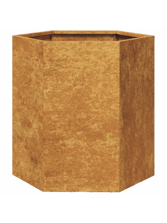 Aia taimekastid 2 tk, kuusnurkne, 46x40x45 cm, corten teras