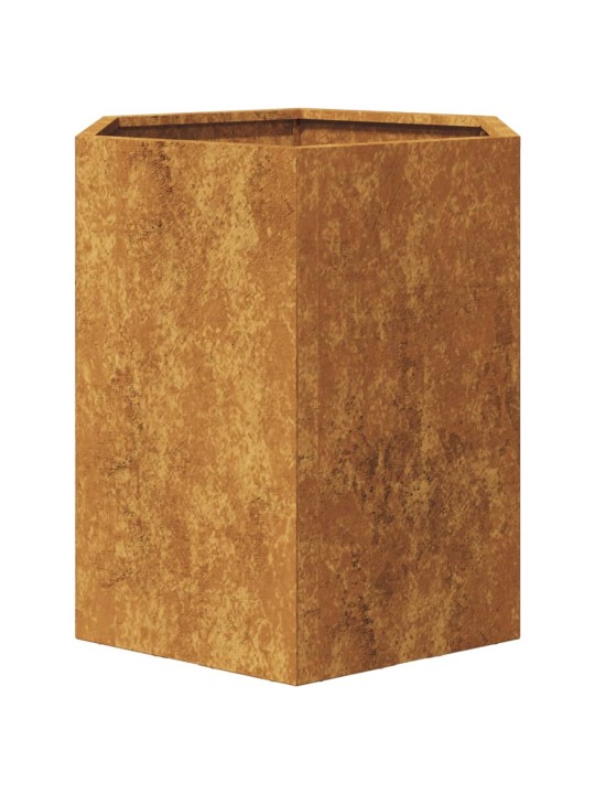 Aia taimekastid 2 tk, kuusnurkne, 46x40x45 cm, corten teras