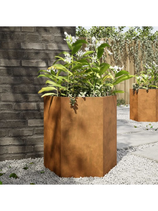 Aia taimekastid 2 tk, kuusnurkne, 46x40x45 cm, corten teras