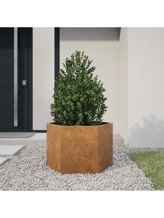 Kuusnurkne aia taimekast, 69x60x45 cm, corten teras