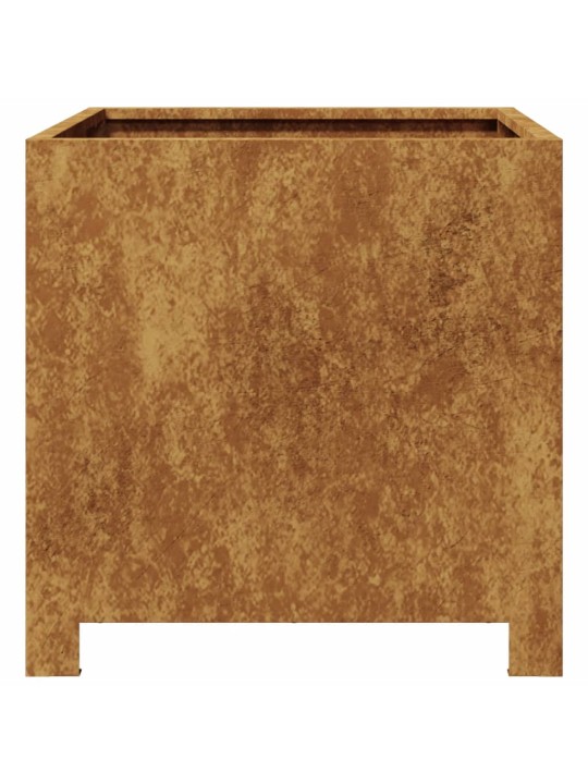 Taimekastid 2 tk, 40x40x40 cm, corten teras