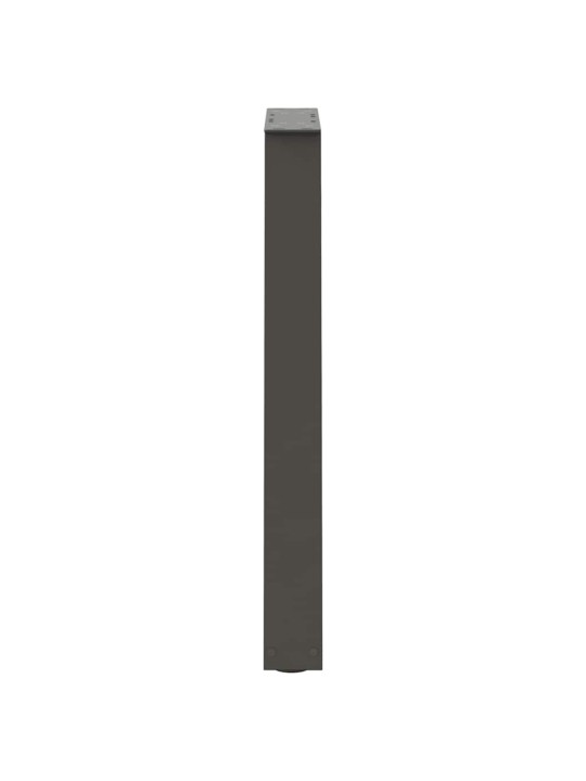SÖÖGILAUA JALAD V-KUJULISED 2 TK, ANTRATSIITHALL, 50 X (72-73) CM, TERAS