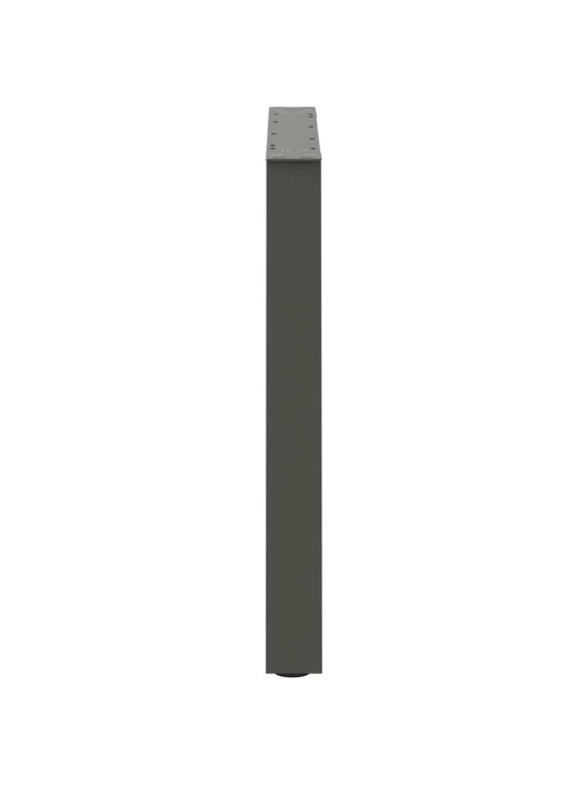 SÖÖGILAUA JALAD V-KUJULISED 2 TK, ANTRATSIITHALL, 70 X (72-73,3) CM, TERAS