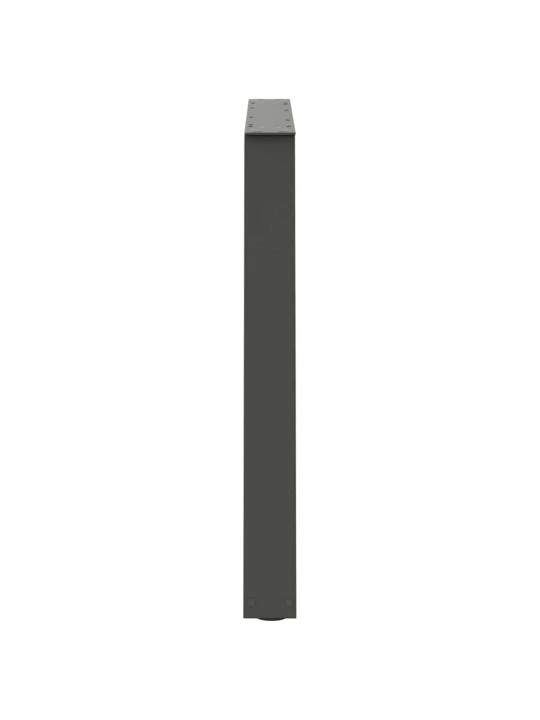 SÖÖGILAUA JALAD V-KUJULISED 2 TK, ANTRATSIITHALL, 100 X (72-73,3) CM, TERAS