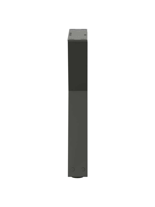 KOHVILAUA JALAD 2 TK, ANTRATSIITHALL, 38 X (42-43,3) CM, TERAS