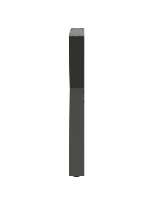 SÖÖGILAUA JALAD 2 TK, ANTRATSIITHALL, 50 X (72-73,3) CM, TERAS